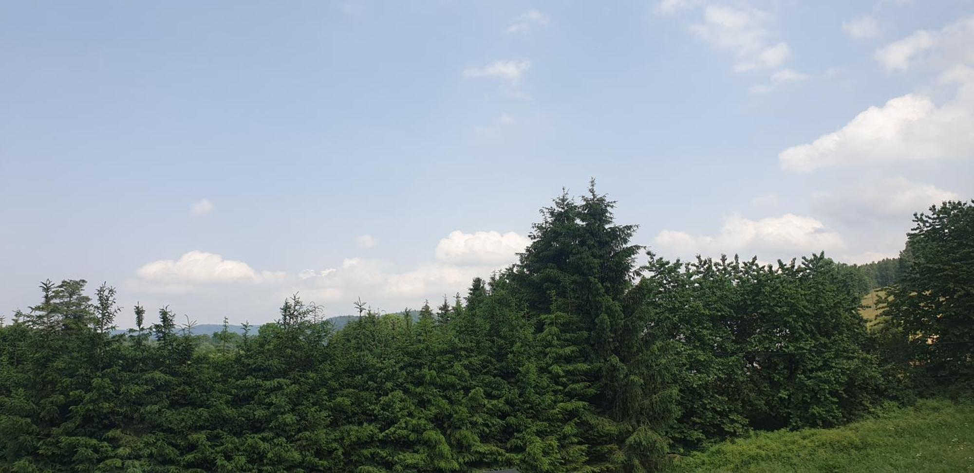 Zajazd Stronie Stronie Śląskie Dış mekan fotoğraf