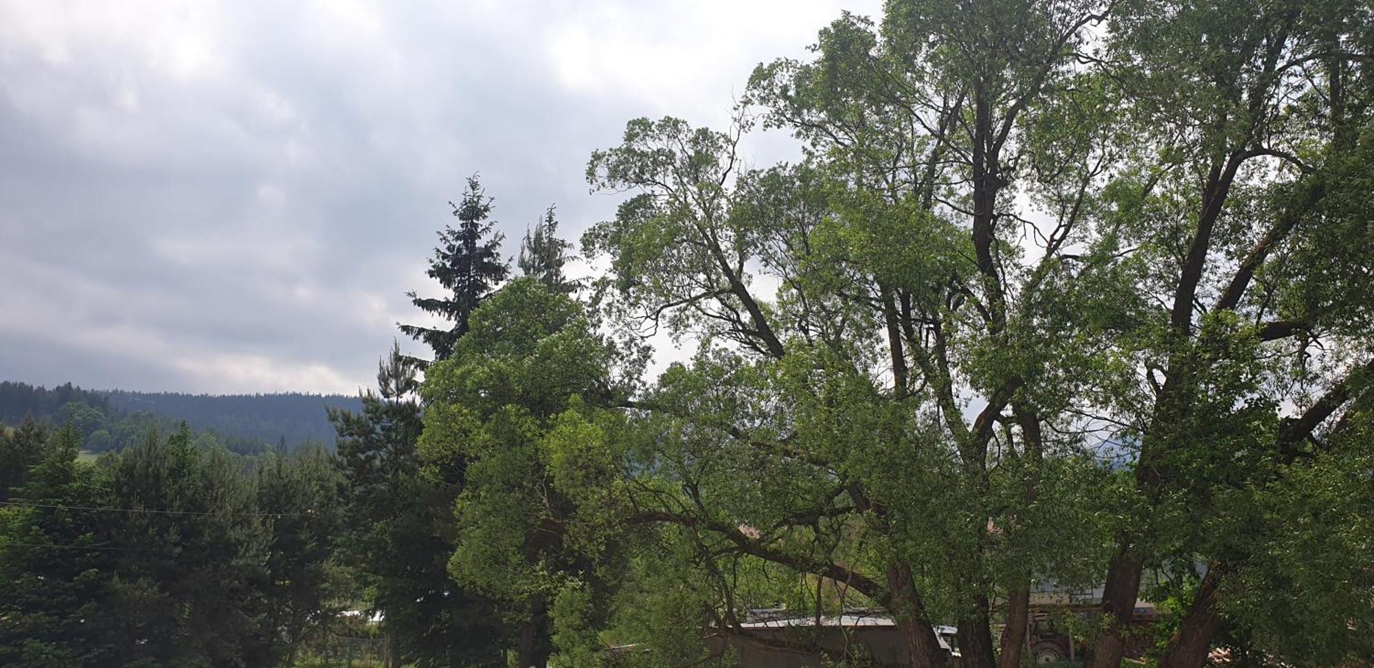 Zajazd Stronie Stronie Śląskie Dış mekan fotoğraf